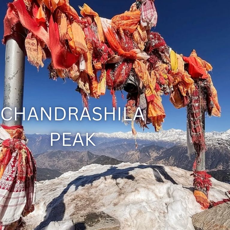From City Lights to Himalayan Heights: Conquering chopta Chandrashila from Delhi